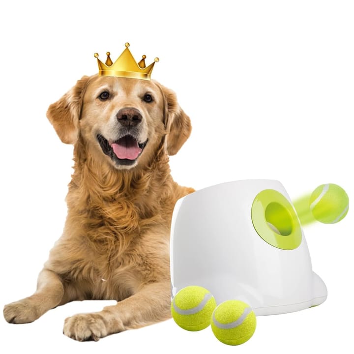 Automatic Tennis Ball Launcher – Interactive Dog Training Toy