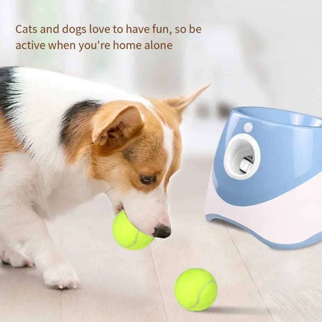 Automatic Tennis Ball Launcher – Interactive Dog Training Toy